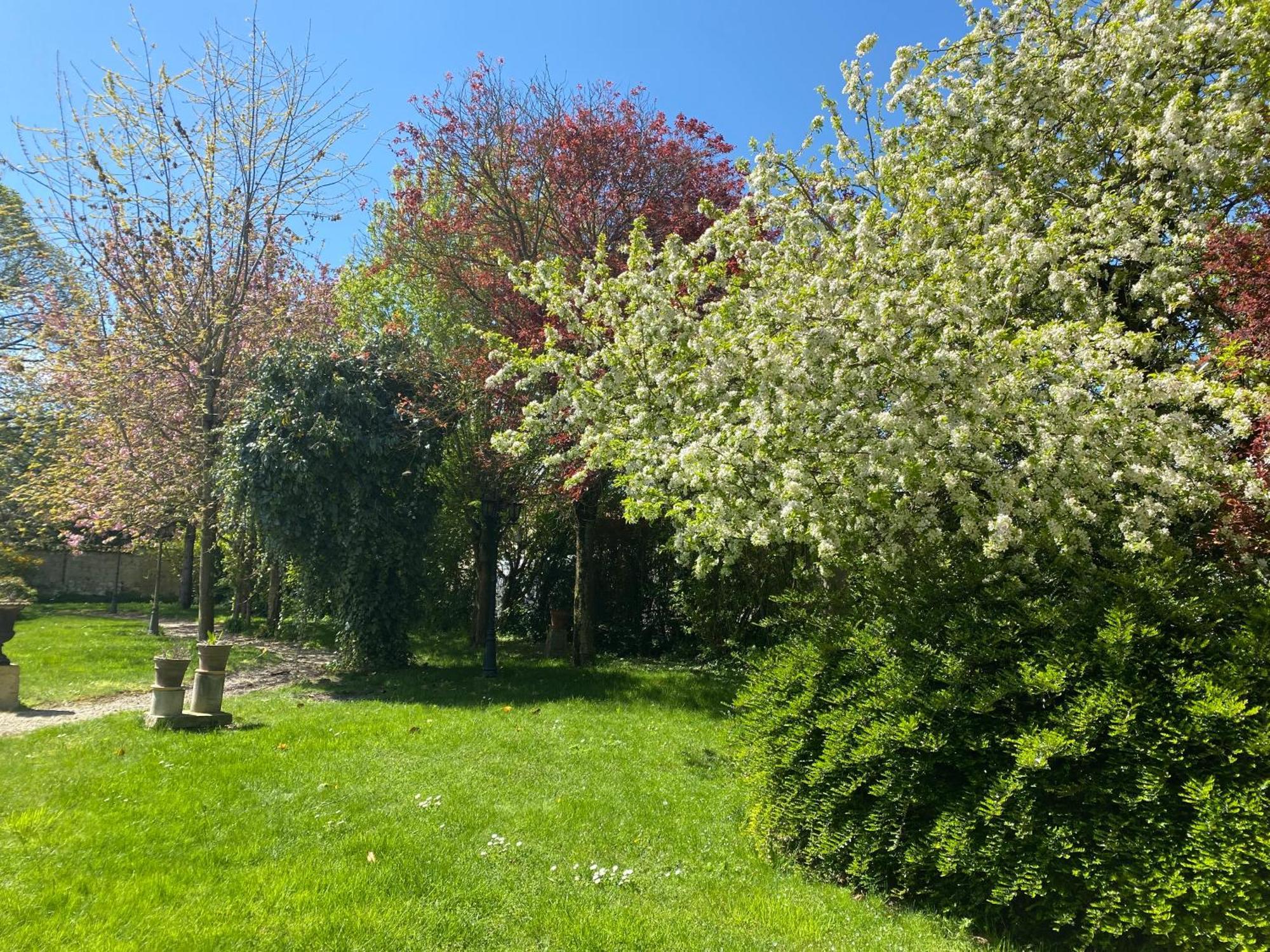La Closerie Des Sacres Lavannes Luaran gambar